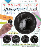 400日元扭蛋 水晶球系列 浮游生物篇 全5种 780839