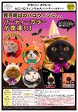 500日元扭蛋 可爱猫猫头巾 万圣节派对Ver. 全5种 300533