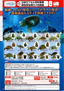 300日元扭蛋 小手办 立体百科辞典 龟类生物 全15种 (1袋40个) 875823