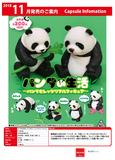 200日元扭蛋 小手办 熊猫的生活 全4种 586338