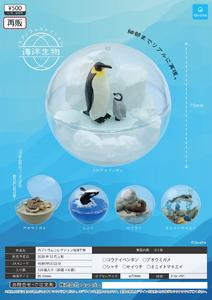 【B】500日元扭蛋 微型景观球 海洋生物篇 全5种 (1袋20个) 372210